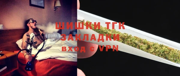 крисы Козловка
