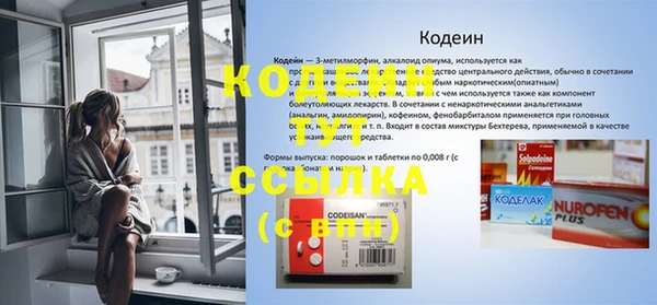 сатива Анжеро-Судженск