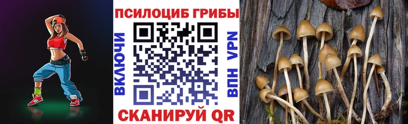 закладки  Куровское  Галлюциногенные грибы мицелий 